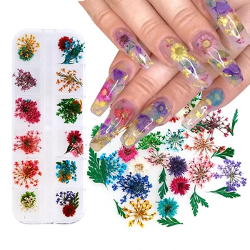 Набор сушеных цветов, 300 цветов, Дизайн ногтей Смешанной формы, 3D сухой цветок, яркая наклейка для макияжа, Идея для ногтей, Маникюр, Украшение из сушеных цветов