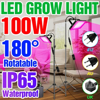 220V LED Grow Light Фитолампа полного спектра Семена цветов, Комнатные растения, Прожектор для выращивания овощей в теплице, Палатка для выращивания